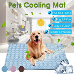 Cooling Summer Dog Mat Bargain Buzz