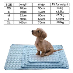 Cooling Summer Dog Mat - Bargain Buzz