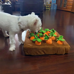 Interactive Dog Toy Pet Bargain Buzz