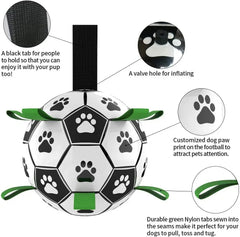Interactive Pet Toy Bargain Buzz