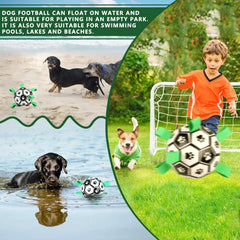 Interactive Pet Toy Bargain Buzz