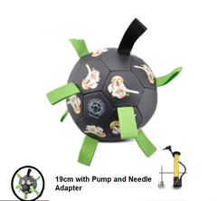 Interactive Pet Toy Bargain Buzz