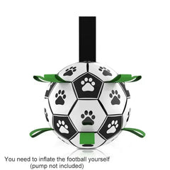 Interactive Pet Toy Bargain Buzz