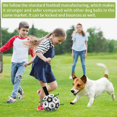 Interactive Pet Toy Bargain Buzz