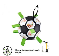 Interactive Pet Toy Bargain Buzz