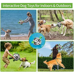 Interactive Pet Toy Bargain Buzz