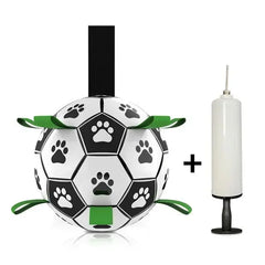 Interactive Pet Toy Bargain Buzz