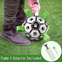 Interactive Pet Toy Bargain Buzz