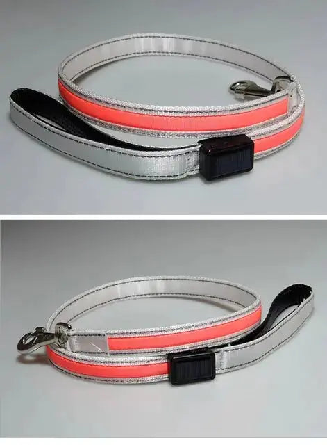 LED Flashing Waterproof Dog Leash ZENDROP