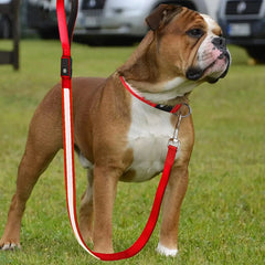 LED Flashing Waterproof Dog Leash ZENDROP