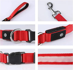 LED Flashing Waterproof Dog Leash ZENDROP