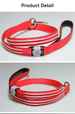 LED Flashing Waterproof Dog Leash - Bargain Buzz