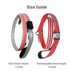 LED Flashing Waterproof Dog Leash - Bargain Buzz