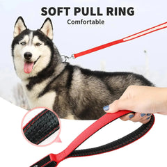 LED Flashing Waterproof Dog Leash - Bargain Buzz
