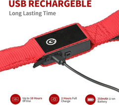 LED Flashing Waterproof Dog Leash - Bargain Buzz