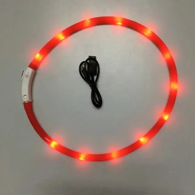 Luminous Pet Collar Bargain Buzz