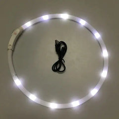 Luminous Pet Collar Bargain Buzz