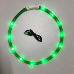 Luminous Pet Collar Bargain Buzz