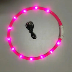 Luminous Pet Collar Bargain Buzz