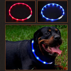 Luminous Pet Collar - Bargain Buzz