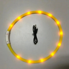 Luminous Pet Collar - Bargain Buzz