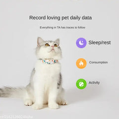 Smart Pet Collar Bargain Buzz